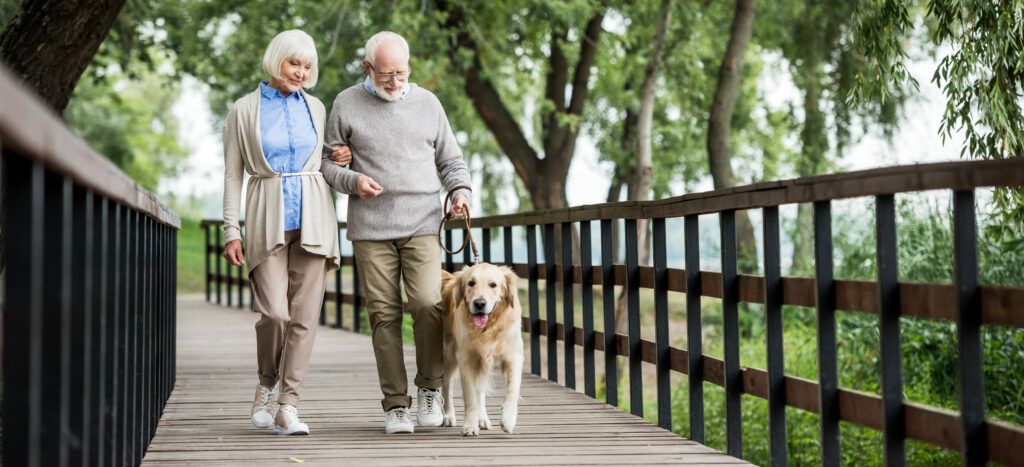 Senior Wellness in Lombard